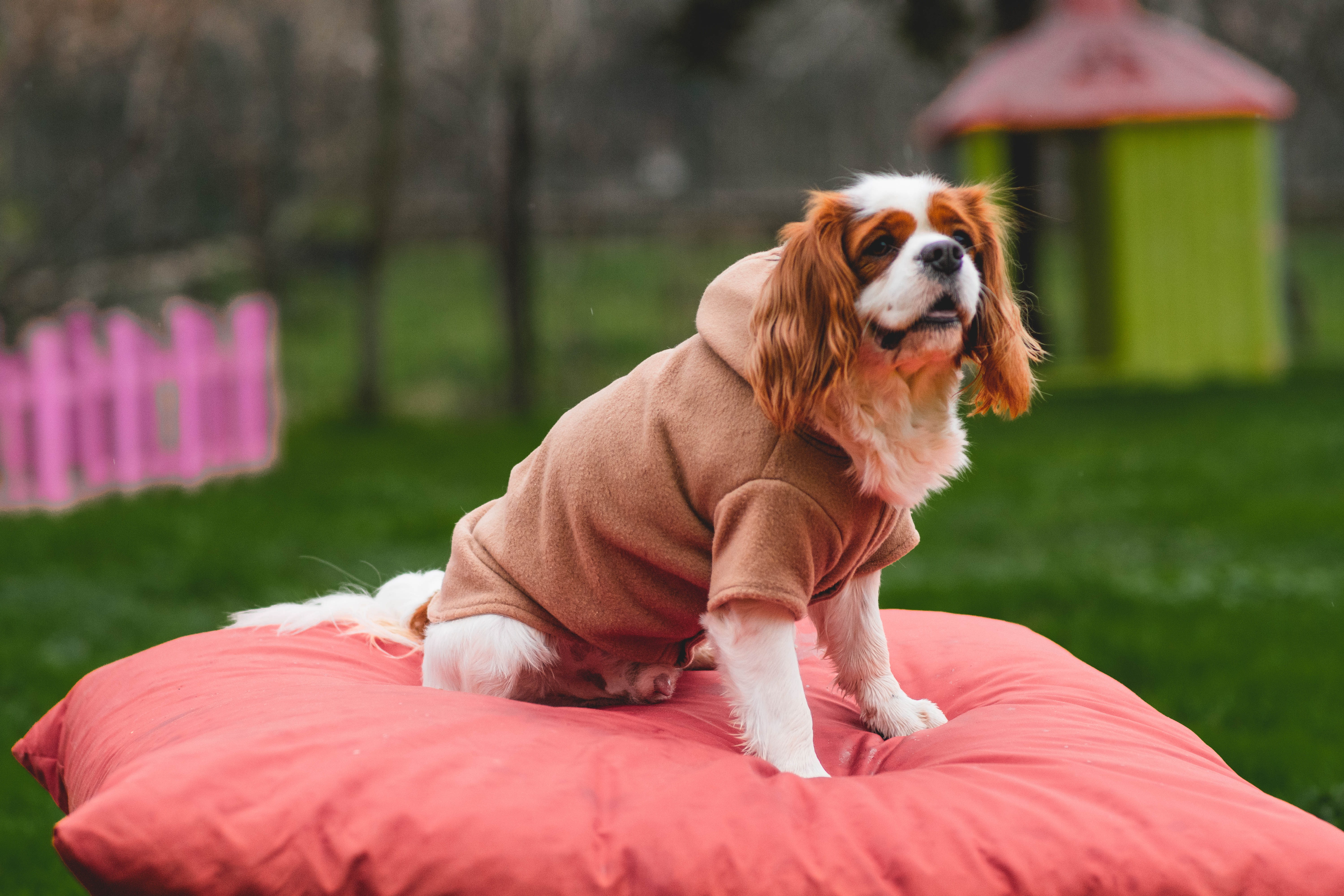 Photo 25 - Emotional moment